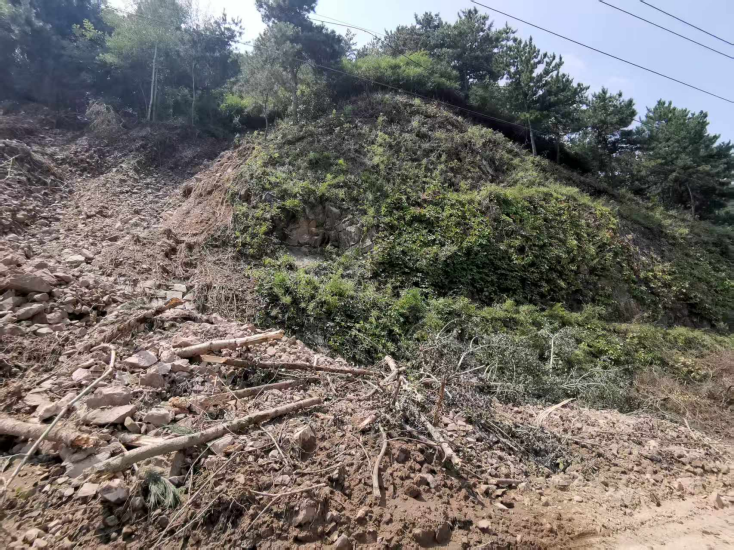 �����ʹ���(463cc) - �ٷ���վ