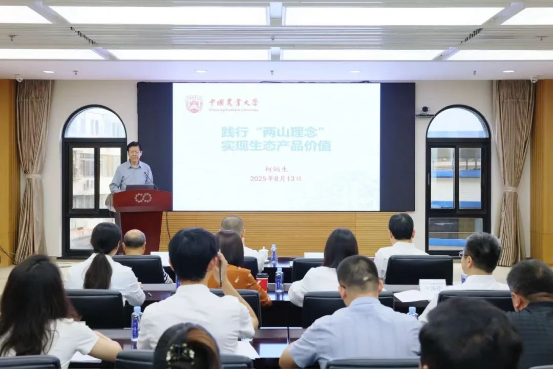 �����ʹ���(463cc) - �ٷ���վ