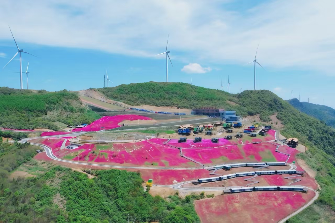 �����ʹ���(463cc) - �ٷ���վ