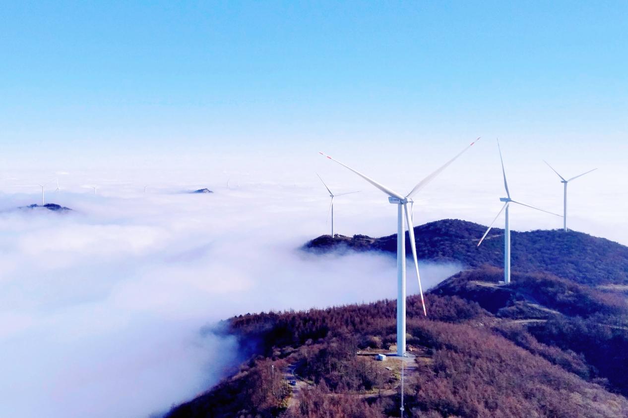 �����ʹ���(463cc) - �ٷ���վ