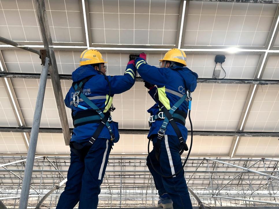 �����ʹ���(463cc) - �ٷ���վ