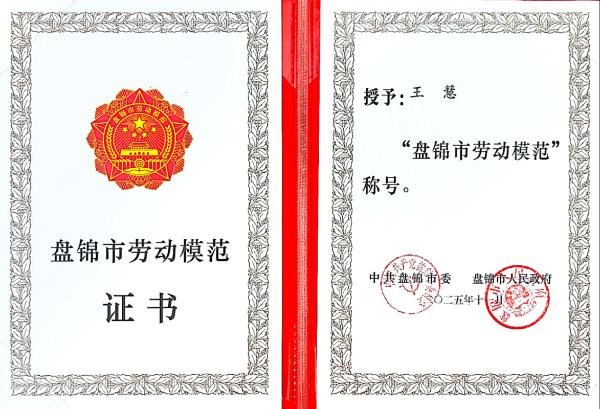 �����ʹ���(463cc) - �ٷ���վ