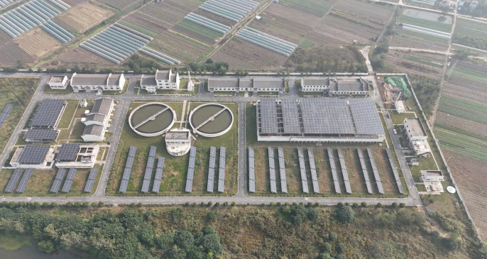 �����ʹ���(463cc) - �ٷ���վ