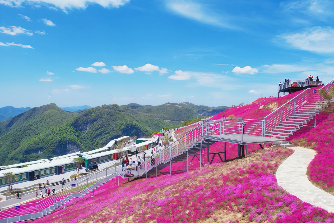 �����ʹ���(463cc) - �ٷ���վ