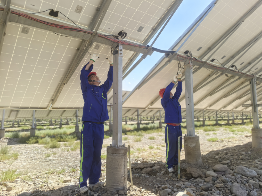 �����ʹ���(463cc) - �ٷ���վ