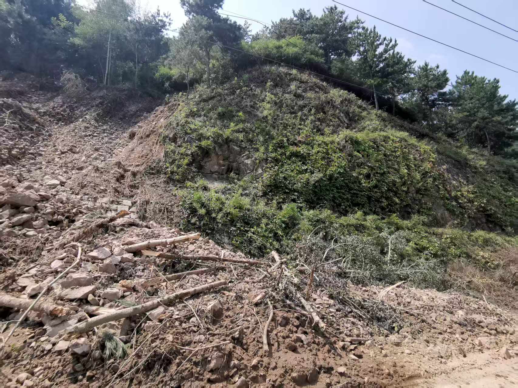 �����ʹ���(463cc) - �ٷ���վ