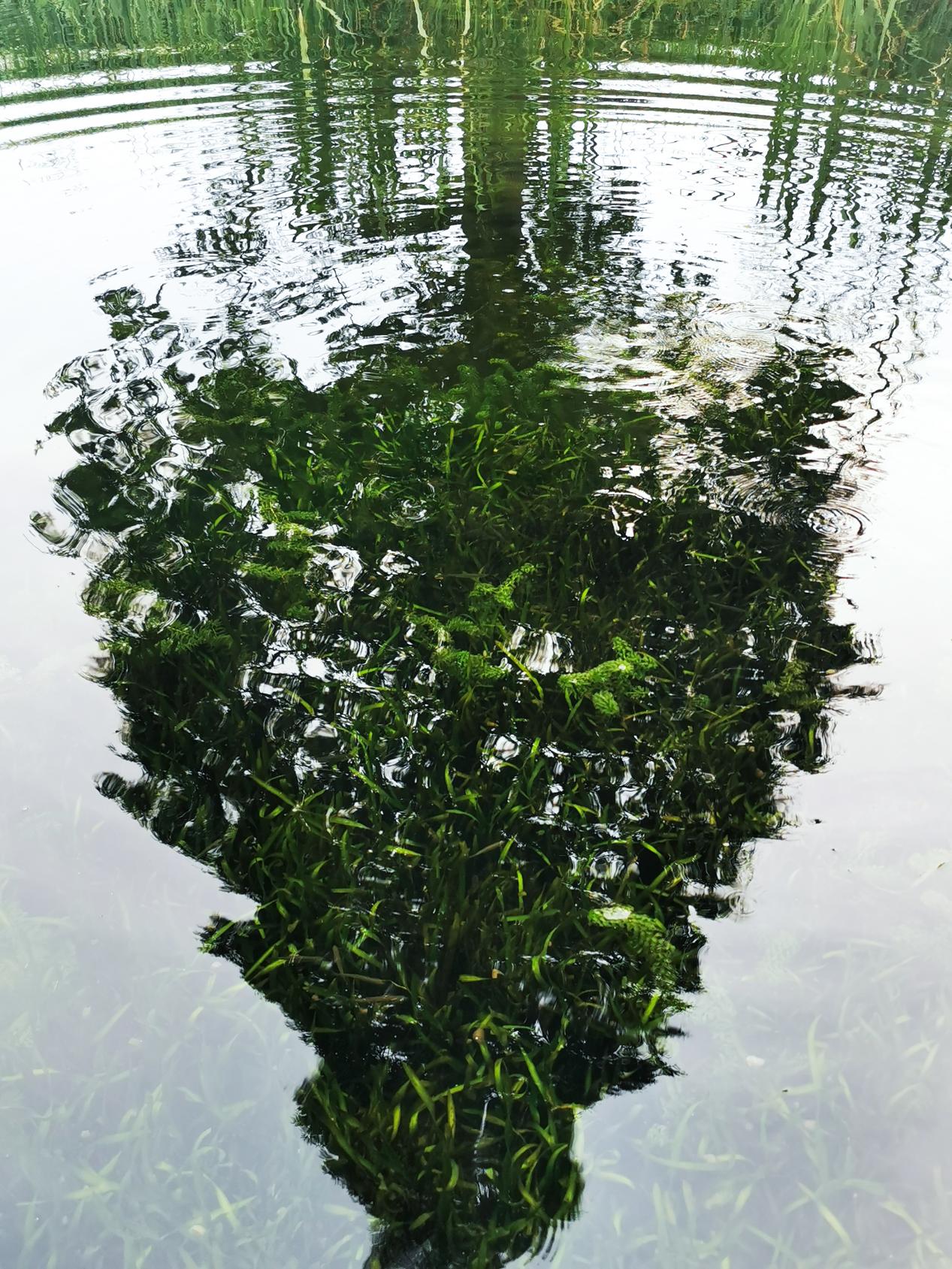 永利皇宫·(463cc) - 官方网站