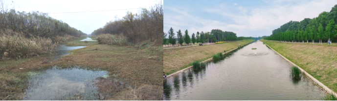 �����ʹ���(463cc) - �ٷ���վ