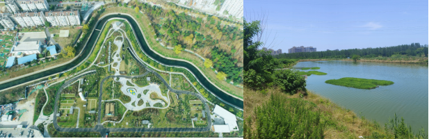 �����ʹ���(463cc) - �ٷ���վ