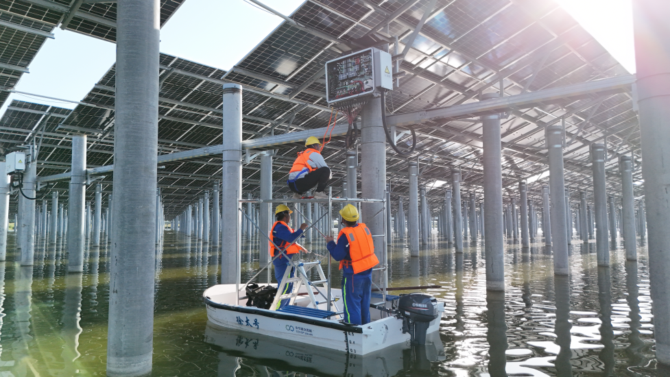 �����ʹ���(463cc) - �ٷ���վ