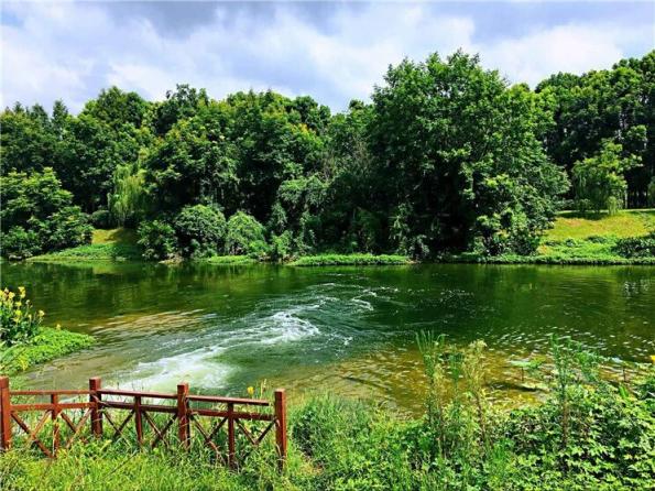 永利皇宫·(463cc) - 官方网站