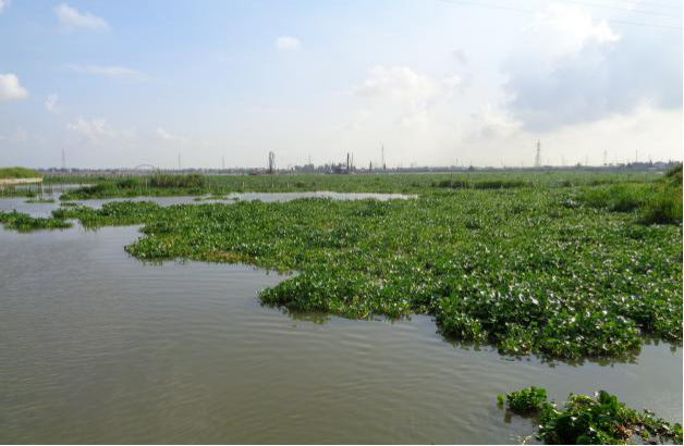 永利皇宫·(463cc) - 官方网站