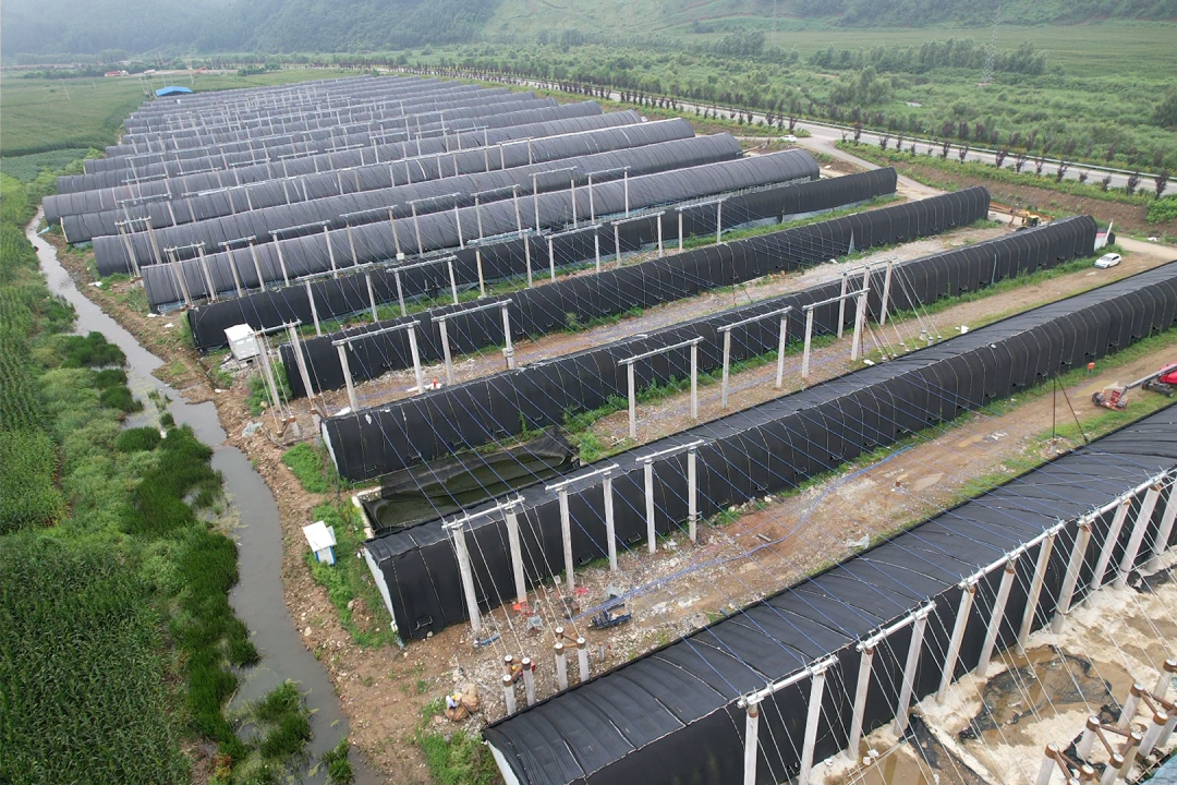 永利皇宫·(463cc) - 官方网站