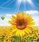 ÓÀÀû»Ê¹¬¡¤(463cc) - ¹Ù·½ÍøÕ¾