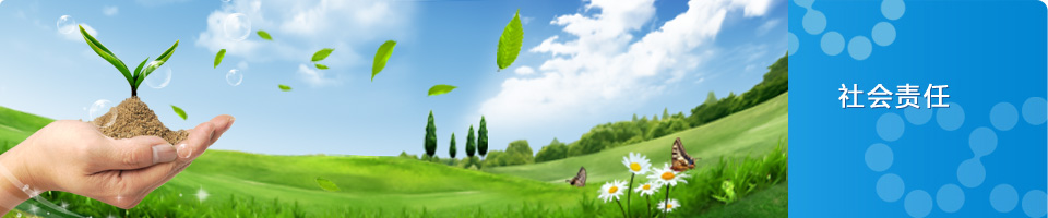 �����ʹ���(463cc) - �ٷ���վ